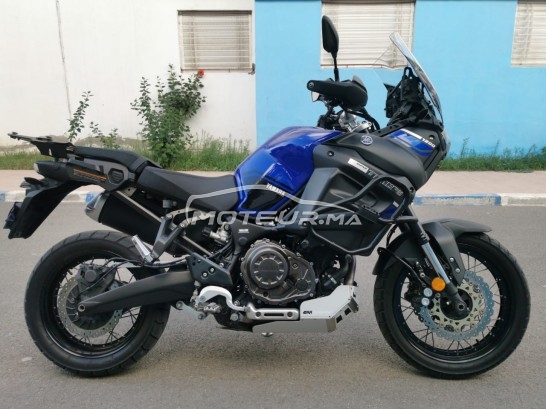 ياماها كست1200ز إسوبير تينيري 2018 - black and blue مستعملة 1460555