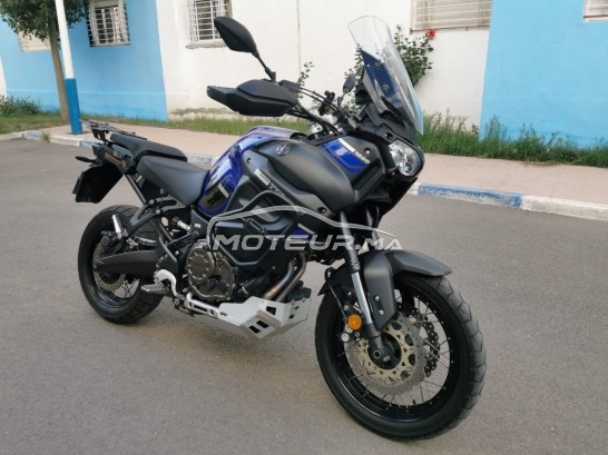 ياماها كست1200ز إسوبير تينيري 2018 - black and blue مستعملة 1460553