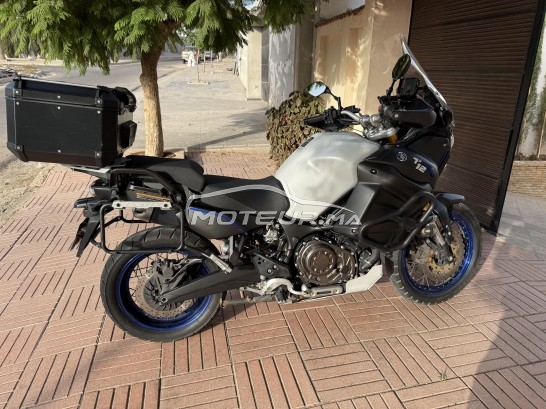 YAMAHA Xtz 1200 occasion  2474777