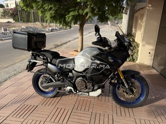 YAMAHA Xtz 1200 occasion  2474778