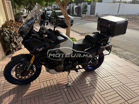 YAMAHA Xtz 1200 occasion  2474774