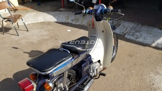 ياماها يب 50 مستعملة 1126023