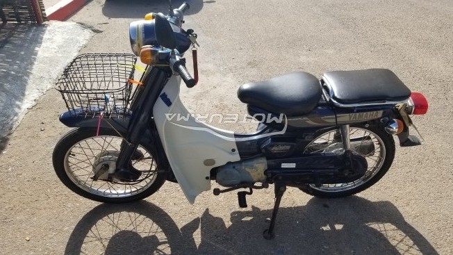 ياماها يب 50 مستعملة 1126021