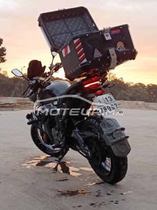 ZONTES 350gk Scrambler 155g1 occasion  2690346