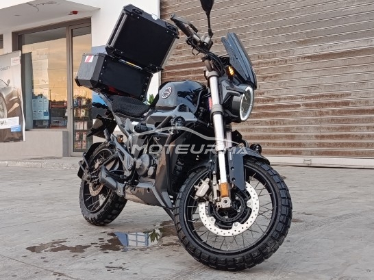 ZONTES 350gk Scrambler 155g1 occasion  2690347