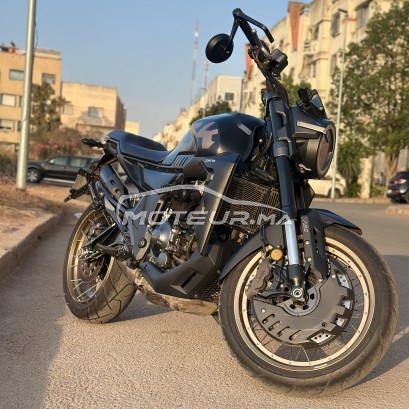 زونتيس 350جك 2023 مستعملة 2512629