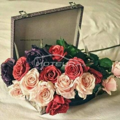 Consultez tous les avis sur le sujet: sur le forum de Moteur.ma le portail des voitures au Maroc