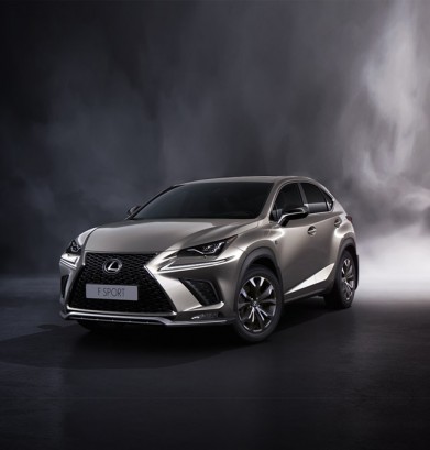 LEXUS - LEXUS NX,300h 4wd hv f sport executive - 10