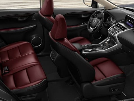 LEXUS - LEXUS NX,300h 4wd hv f sport - 8