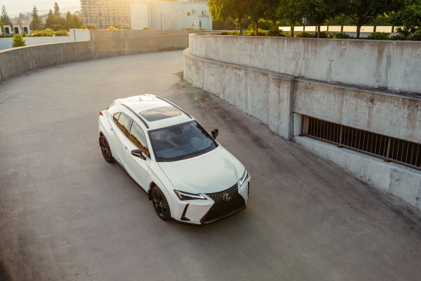LEXUS - LEXUS UX,250 h luxury - 2
