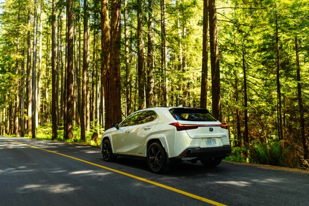 LEXUS - LEXUS UX,250 h luxury - 6