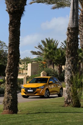 PEUGEOT - PEUGEOT 208,Access 1.6 hdi 92 ch - 17