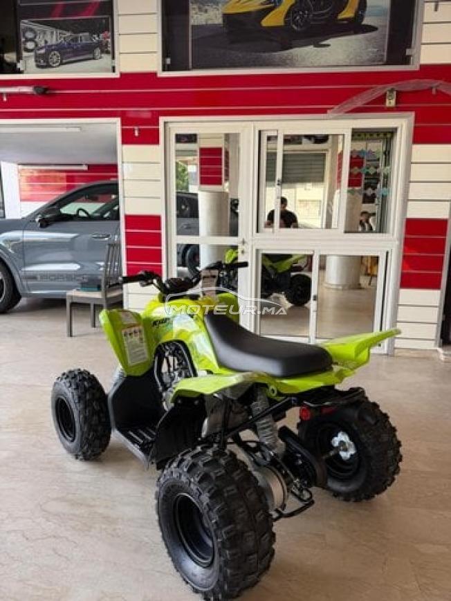 Quad raptor 110