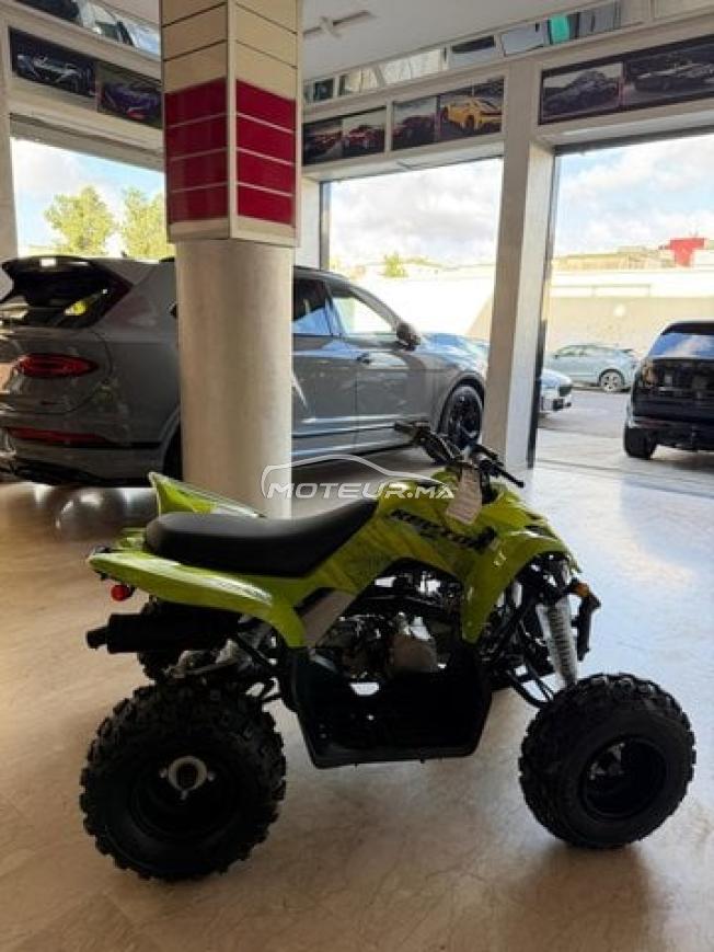 Quad raptor 110