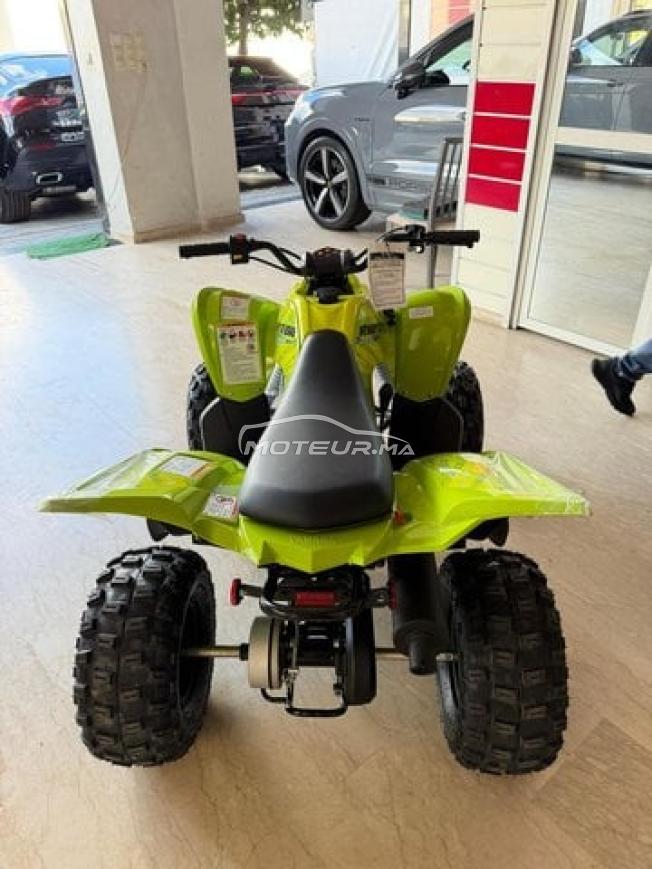 Quad raptor 110