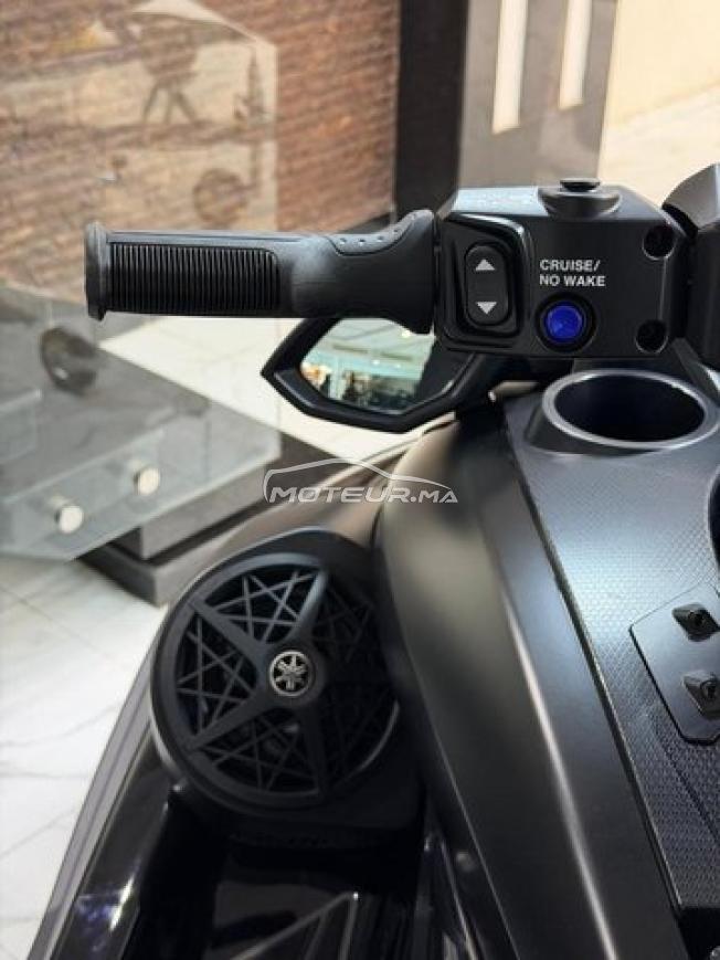 FX Limited 2026