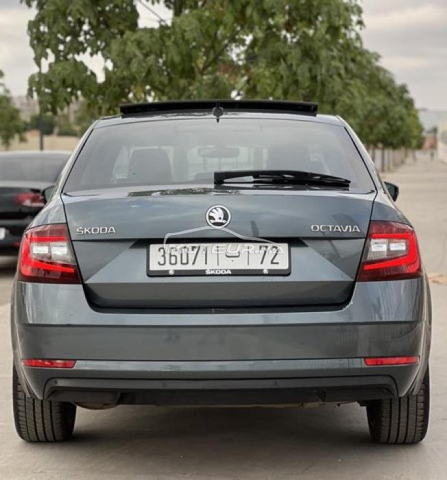Skoda Octavia ELKA 2021 • 