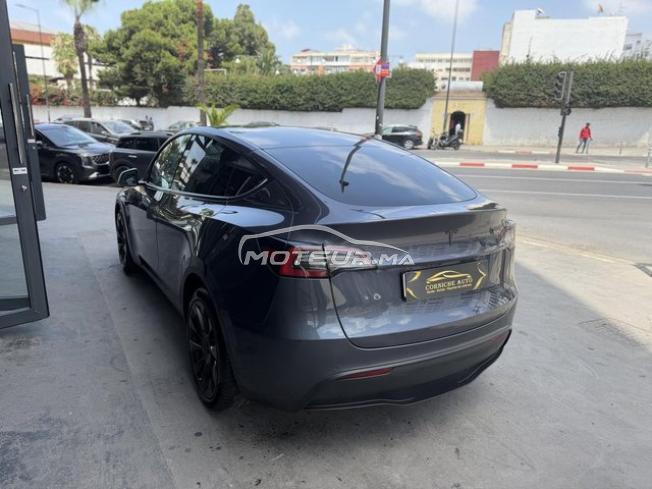 Tesla y 4/4 grande batterie 