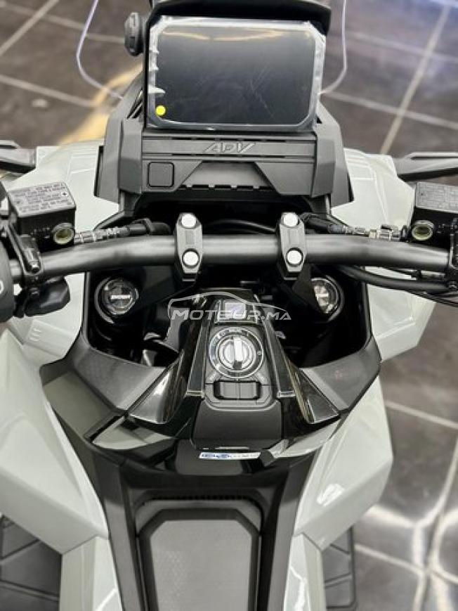 Honda ADV 350 Special Edition - DERKAOUI MOTO