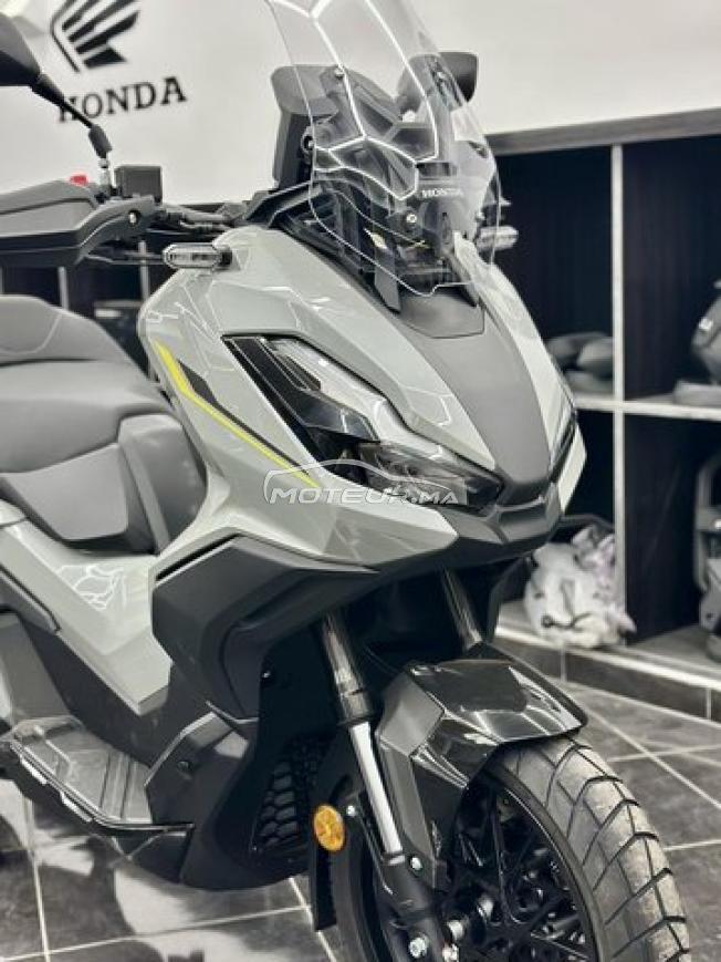Honda ADV 350 Special Edition - DERKAOUI MOTO