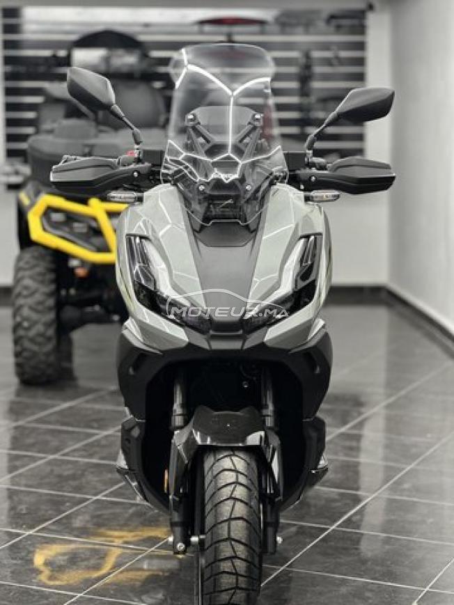 Honda ADV 350 Special Edition - DERKAOUI MOTO