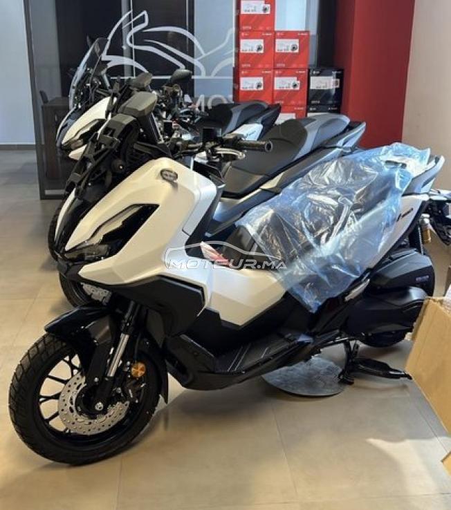 HONDA ADV 350 Blanc Matt 2026 -DERKAOUI MOTO