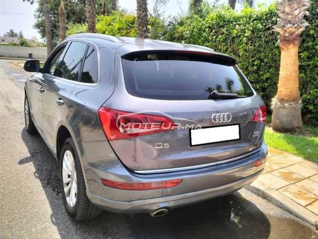 KIFAL - AUDI Q5