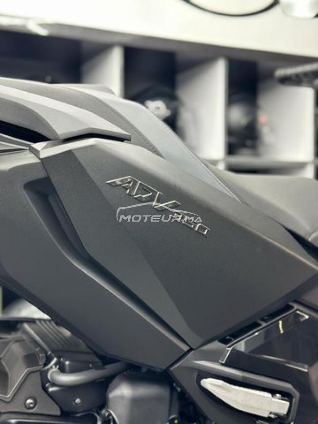 Honda ADV 350 2026 - PACK PREMIUM NANO CERAMIC 