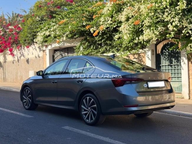 Skoda Octavia business Diesel Automatique 2022 