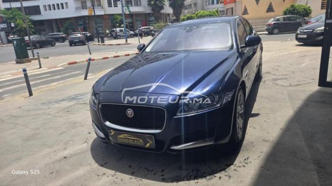 Jagwar xf 