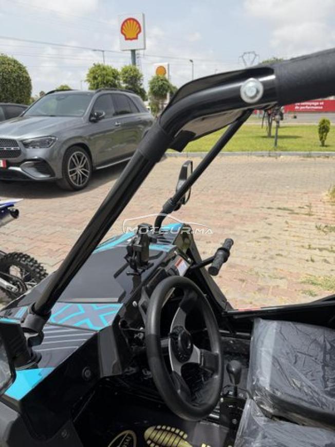 Buggy LPR 200