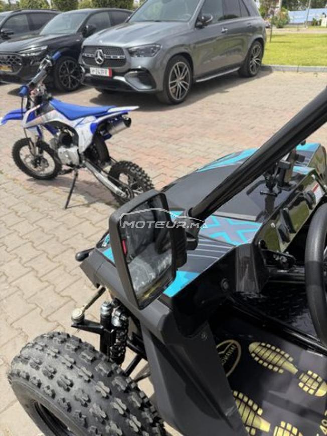 Buggy LPR 200