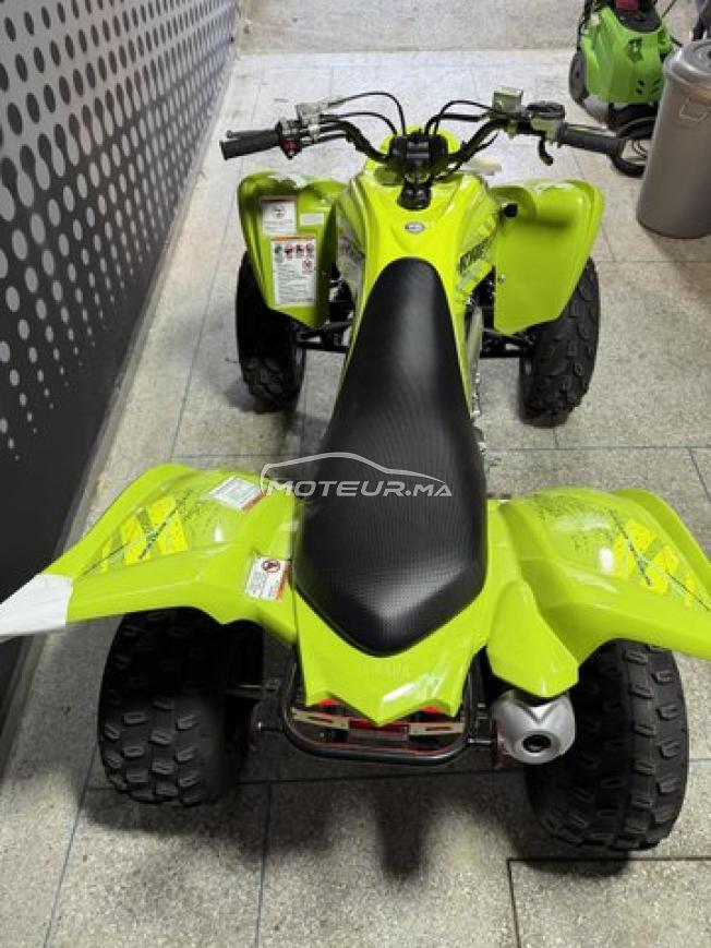 Quad raptor 700r