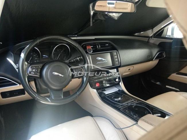 KIFAL - JAGUAR XE
