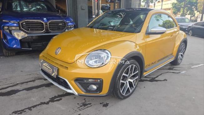 New beetle dune