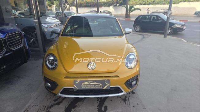 New beetle dune