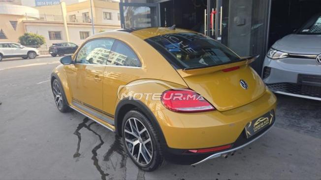 New beetle dune