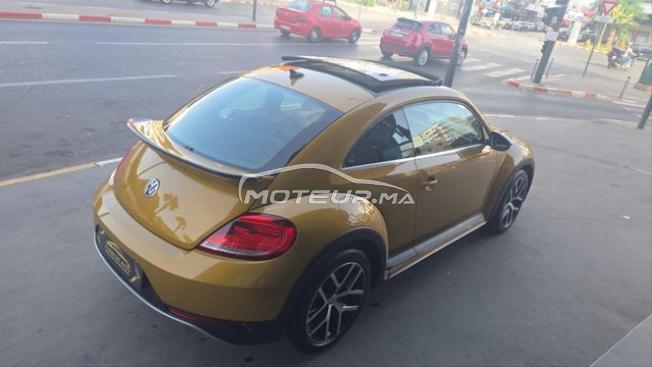 New beetle dune