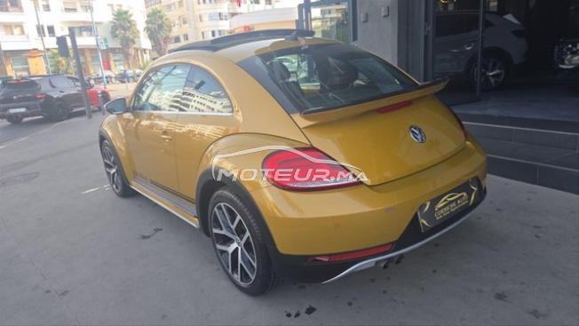 New beetle dune