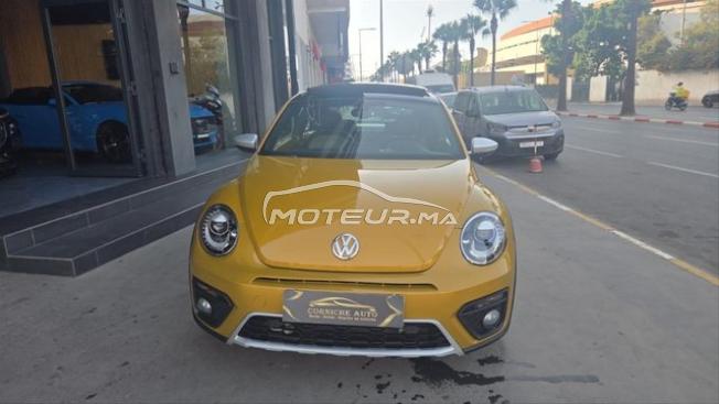 New beetle dune