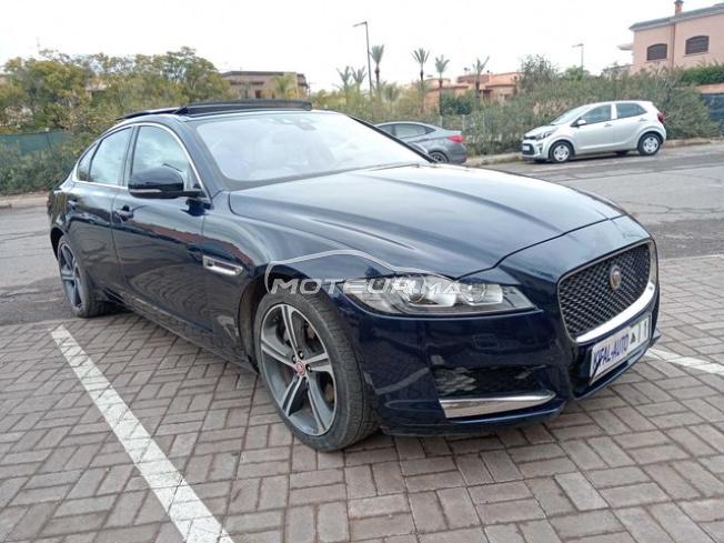 KIFAL - JAGUAR XF