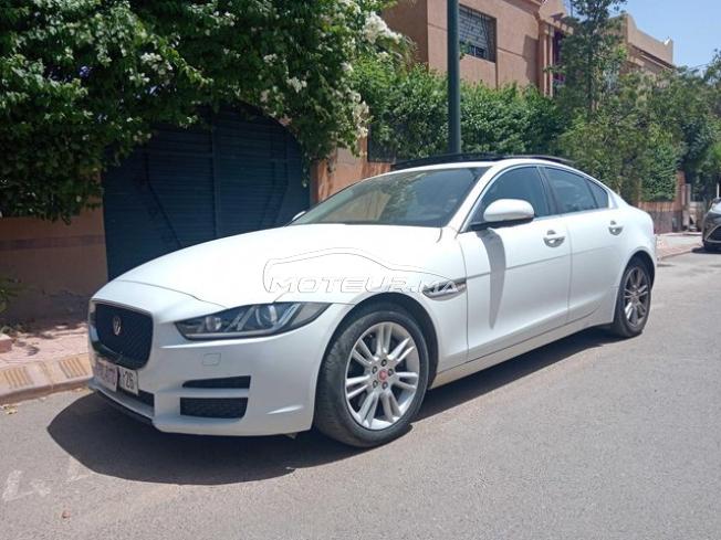 KIFAL - JAGUAR XE