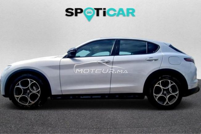 Stellantis - ALFA ROMEO Stelvio - 2024