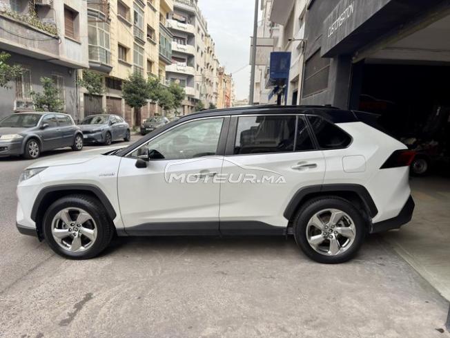 Toyota Rav4 hybride distinctive plus 