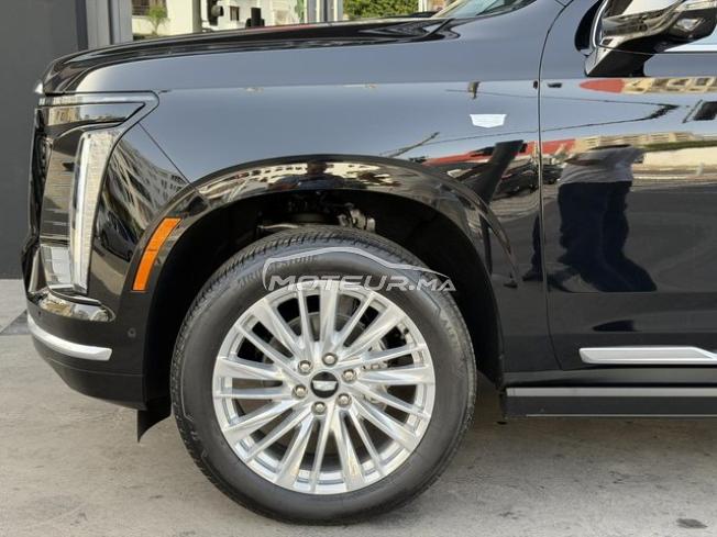 Cadillac escalade sport luxury 