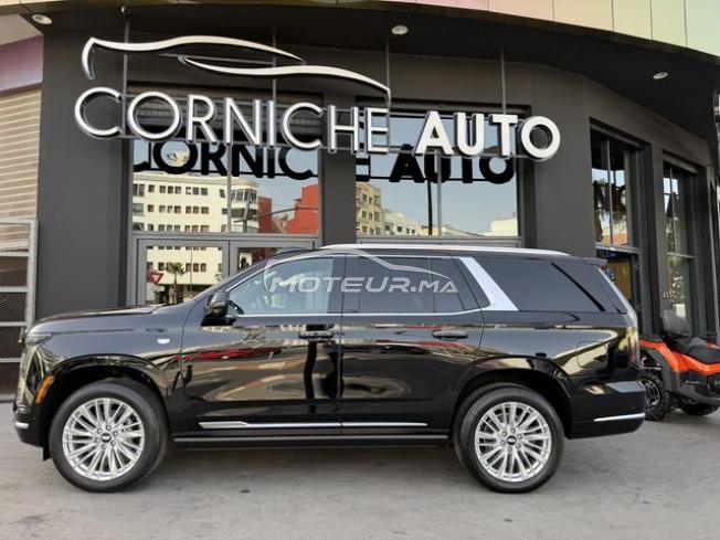 Cadillac escalade sport luxury 