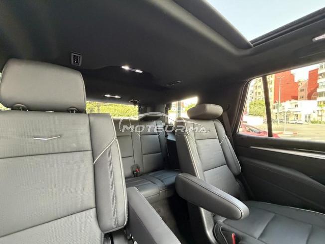 Cadillac escalade sport luxury 