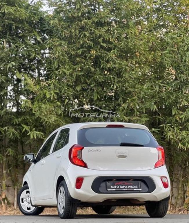 Kia Pikanto 2021 Automatique