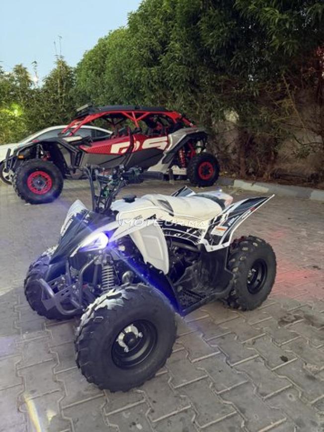 Quad LPR TROOPER 110