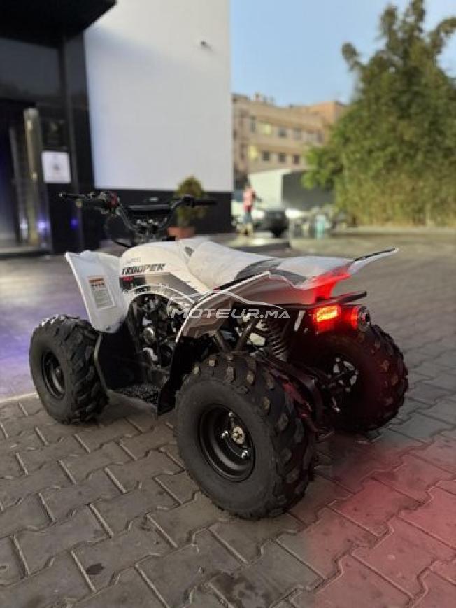 Quad LPR TROOPER 110